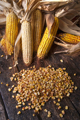 Dried corn cob © fotografiche.eu