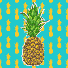 Vector pineapple illustration with seamless pattern, hand drawn ananas sketch