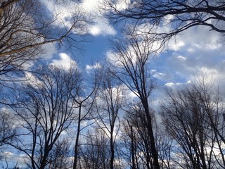 Fototapeta na wymiar late afternoon clouds in winter sky