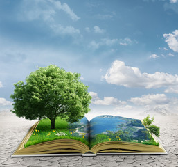 magic book