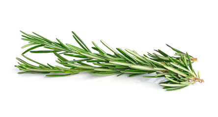 Fototapeta premium rosemary isolated on white background