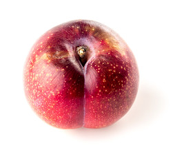 Overripe brownish red plum isolated on white