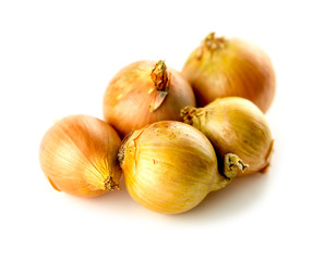 Five onions of various sized studio isolated