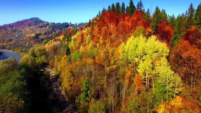 Aerial view of autumn Carpathians mountains