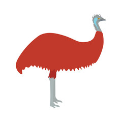 Emu vector illustration. Emu bird on white background. Emu vector. Emu illustration. Emu isolated vector