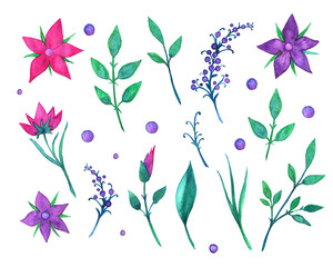 Watercolor flowers. Elements for design.