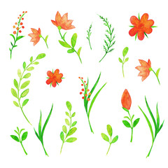 Watercolor flowers. Elements for design.