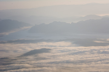 Fototapeta na wymiar Fog in Doi Luang Chiang Dao