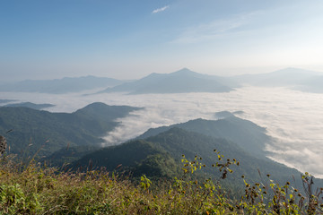Viewpoint Morning mist Doi Pha Tang