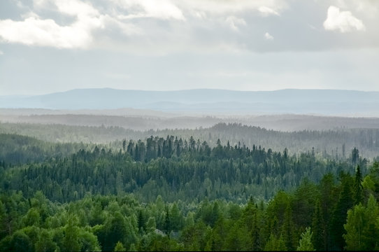 Fototapeta Mountain landscape in Lapland Finland
