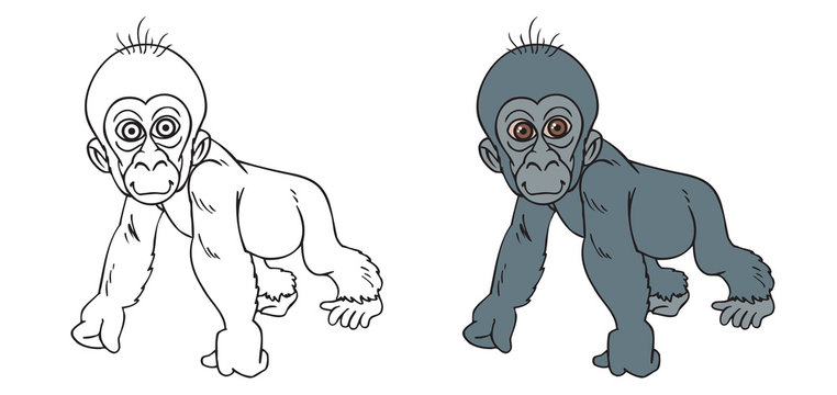 Gorilla baby. Illustration of an adorable gorilla baby in two versions