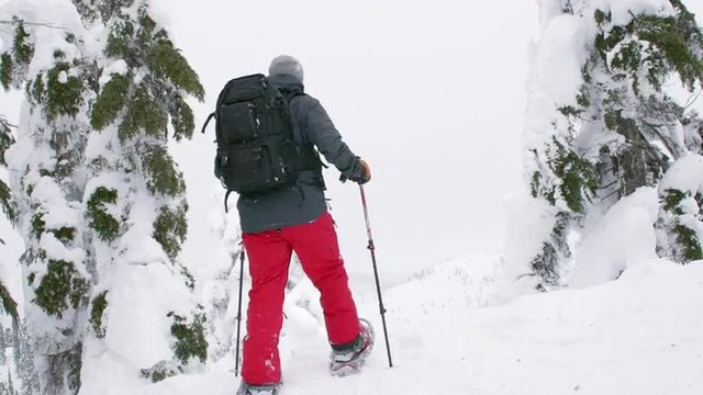 Hiker with Snowshoes and Poles Celebrating Reaching Snowy Mountain Lookout