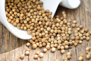 Close up of dried coriander seeds