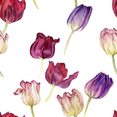 seamless pattern with watercolor tulip