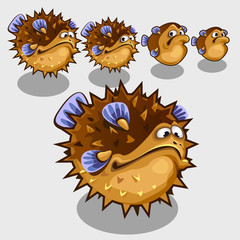 Sea urchin with different expression of emotions