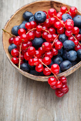 Fresh blueberries and red currant.
