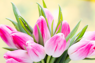 Obraz premium Spring flowers. Tulip bouquet on the bokeh background.