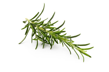 Fototapeta premium Rosemary twig on the isolated white background.