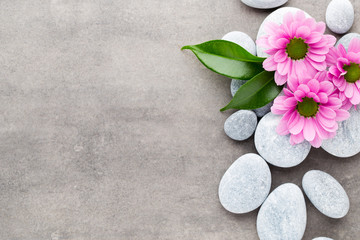 Obraz na płótnie Canvas Spa stones and flowers on grey background.