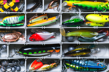 Various fisherman's equipment on wooden background © fotofabrika