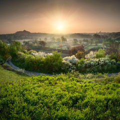 Fototapety na wymiar - Fototapeta24.pl