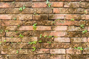 Brick background