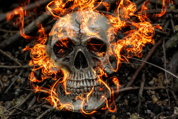 human skull on fire