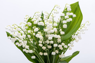 Lily of the Valley (Convallaria Majalis) isolated on white