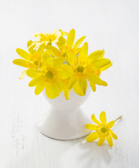 Bunch of early  spring flowers ( Caltha palustris) in stand for boiled egg on the white wooden plank. Easter decor.