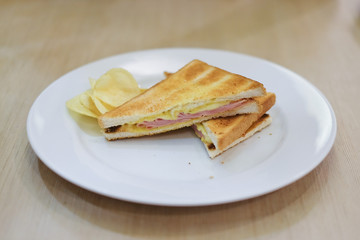 Fototapeta na wymiar A grilled ham and swiss cheese sandwich
