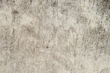 Wall fragment with attritions and cracks