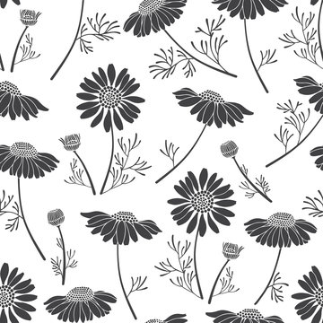 Seamless vector pattern with chamomiles. Hand-drawn floral background