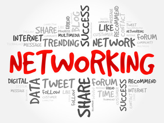 Networking word cloud, business concept