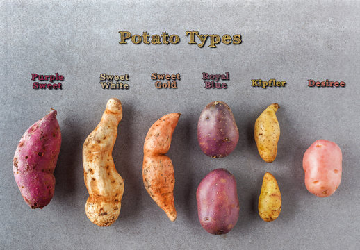 Different kinds of potatoes flat lay on stone surface with text labels