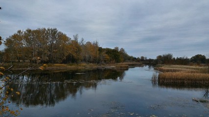 Autumn day on a shared river bed