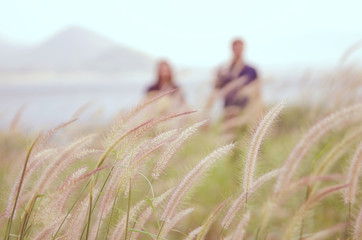 Image for background, soft focus grass and blrred couple standing on the grass, retro filter.