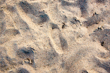 shoe traces in sand