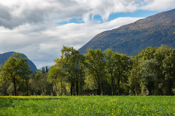 summer landscape, the Jura France. Ain region on the border with Geneva.