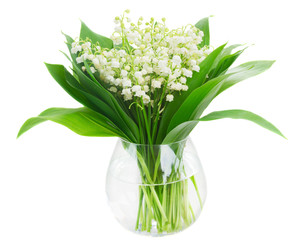 Lilly of valley