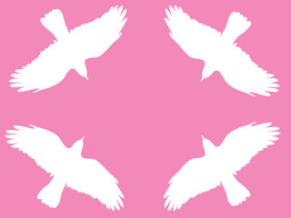  bird sign flying background