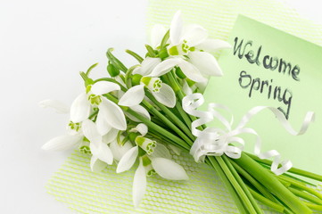 Fresh snowdrops bouquet with a note