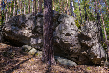Каменный лес © aleksa3136