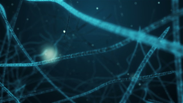 Animation scientific of brain neurons
