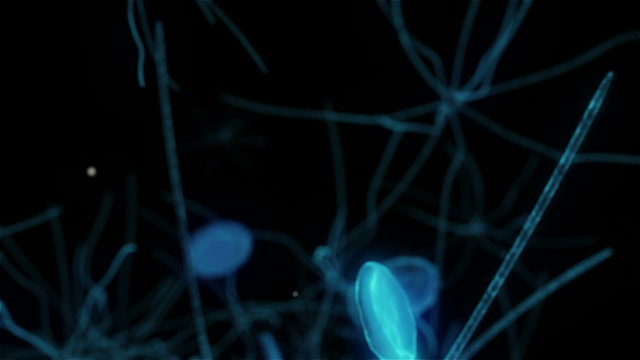 Animation scientific of brain neurons