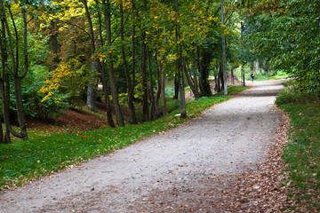 Park pathway in sunny day