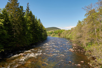 The River Spey