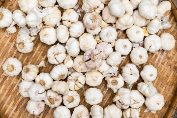 Garlic , Fresh garlic , Garlic group