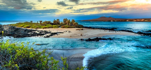 Deurstickers Natuur Galapagos eilanden