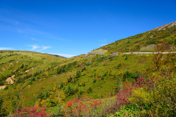 Shibu pass in autumn in Gunma and Nagano, Japan