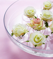 Flower,shot studio